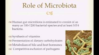 Fecal Microbiota Transplantation  Mitsuya Katayama MD [upl. by Nananne]