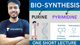 biosynthesis of purine and pyrimidine nucleotides  purine and pyrimidine synthesis biochemistry [upl. by Terhune]