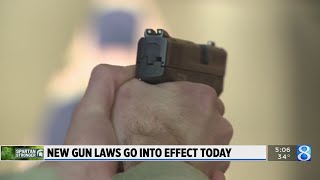 New gun laws go into effect in Michigan [upl. by Arec]