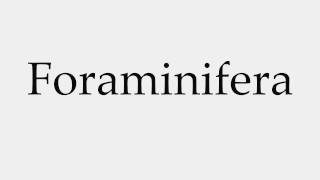 How to Pronounce Foraminifera [upl. by Clementia553]