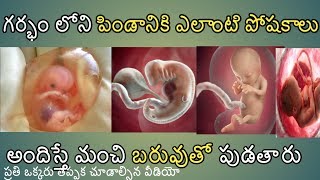 How to identify pregnancy baby nutrition telugu nutrition guide 2019 [upl. by Aicemaj]