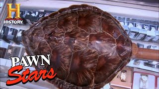 Pawn Stars ILLEGAL Tortoise Shell Guitar Screams TROUBLE Season 7  History [upl. by Anitnatsnok388]