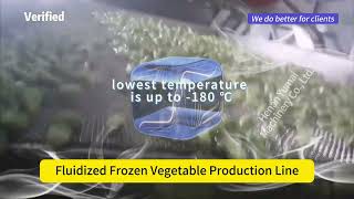 Fluidized Frozen Vegetable Production Line [upl. by Rambort]