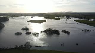 Threave Castle Flood 210221 [upl. by Bonina553]