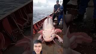 Pink child on the sea fishing [upl. by Cecilia]