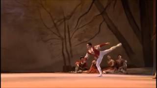 Andrey Bolotin Giselle Peasant 1st variation [upl. by Alfy]