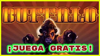 TRAGAMONEDAS BUFFALO GRATIS ► Juegos de Casino Online [upl. by Ralli]