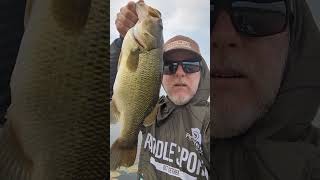 A big toad on the zman goat toadz at the averageontarioanglers BBQ I won big fish with her [upl. by Josephina]