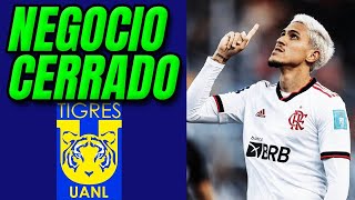 💣🔥 ¡TIGRES LO HIZO FIRMA Y LLEGA  ÚLTIMAS NOTICIAS LIGA MX [upl. by Burroughs]