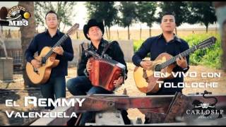 Remmy Valenzuela  Reproches Al Viento En Vivo Con Tololoche [upl. by Naz]