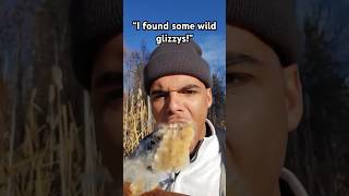 Man eats a cat tail plant💀funny gross shorts [upl. by Belac]