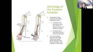 Chapter 5 Arthrology of the Elbow and Forearm [upl. by Aneehsal344]