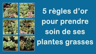 5 règles d’or pour prendre soin de ses plantes grasses [upl. by Deenya]