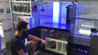 Aquariums Australia  Neptunian Cube Product Launch [upl. by Naillimixam]