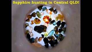 Fossicking for Sapphires in the Central QLD Gemfields [upl. by Lynnette]