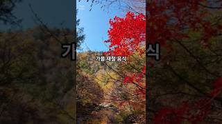 가을 재철 음식 autumn seasonal food 가을 shorts [upl. by Hellman]