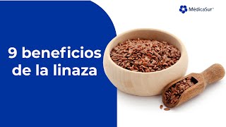 9 beneficios de la linaza [upl. by Roxanne]