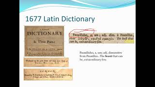 Did Jesus prophesy against Paul as Least in Matt 519 Pt 1 Or was a Hatefilled Corruption Made [upl. by Treulich]