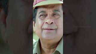 బ్రహ్మి కి అడ్డంగా దొరికిపోయిన వేణు 😂  Brahmanandam  Ramachari Movie  Venu  YouTubeShorts [upl. by Ailel374]