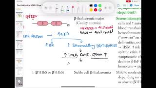 Beta thalassemia major haematology 34 First Aid USMLE Step 1 in UrduHindi [upl. by Lynde]