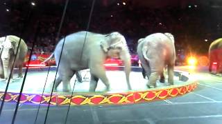 Ringling Bros And Barnum amp Bailey Dragons Tucson Elephants Part 22 [upl. by Nylatsyrc]