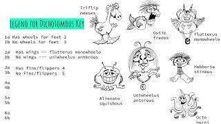 Making a Dichotomous Key [upl. by Nocaj]