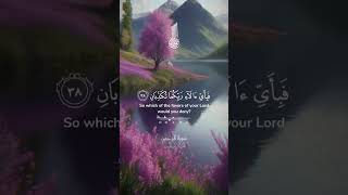 Surah Al Rehman Sheikh yasir al dossary [upl. by Hairem]