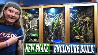 Building Arboreal Enclosures for Snakes [upl. by Aem]