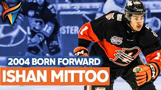 Ishan Mittoo  Lloydminster Bobcats AJHL  Forward 2004 DOB [upl. by Soren]