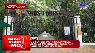 Arroceros Forest Park sa Maynila pasyalan ng marami ngayong taginit  Dapat Alam Mo [upl. by Willard405]