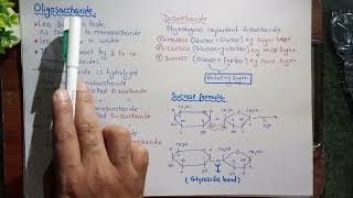 Carbohydrates  Monosaccharides  Oligosaccharides  Polysaccharide Class 11 [upl. by Anairda]