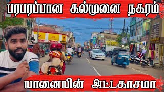 கல்முனையில் யானையின் அட்டகாசமா😲😲 🤔 kalmunai  Pk vlogs Tamil  Sri Lanka 🇱🇰 Tamil village vlogs [upl. by Aratak]