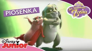 🎶 Bohater Uszaty  Jej Wyokość Zosia  Disney Junior Polska [upl. by Avrenim]