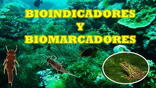 BIOINDICADORES Y BIOMARCADORES [upl. by Glaser]