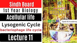 lysogenic cycle  acellular life  1st Year biology Sindh text book board new Book class 11 [upl. by Daryl]