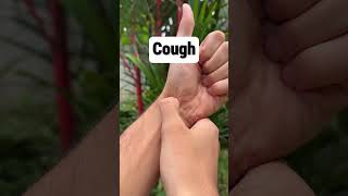 Acupoints for Phlegm Cough and Dry Throat acupressure phlegm cough drythroat [upl. by Leruj]