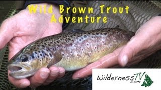 FLY FISHING Small Rivers for Brown Trout [upl. by Remus]