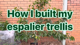 Grow LOADS OF FRUIT in a backyard Part 2  building a trellis for espalier [upl. by Tychon]