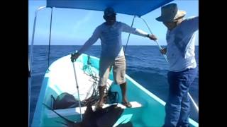 Pesca de Vela Puerto de Progreso Mérida Yucatán [upl. by Ahseyn]