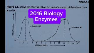 2016 Biology paper 2 question 2  enzymes [upl. by Bluhm]