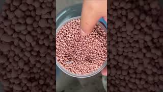 npk 16 16 8 fertilizer for plants [upl. by Ahsyak]