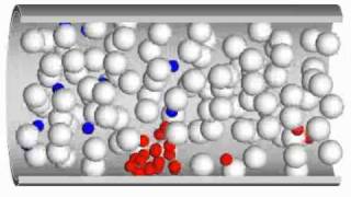 Simulation of Platelet Aggregation in the Presence of Red Blood Cells [upl. by Annam956]