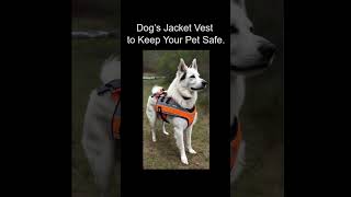 Avoid These Common Dog Jacket VEST Mistakes At All Costs [upl. by Ettenan823]