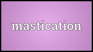 Mastication Meaning [upl. by Lindholm53]