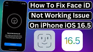 How To Fix Face iD Not Working Issue On iPhone After iOS 165 [upl. by Esina111]