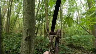 3d Archery Competition  Gopro Headcam View  Hoyt SatoriUukha Rig [upl. by Aihsetan]