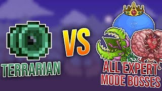 Terrarian vs All Expert Mode Bosses [upl. by Alpert]