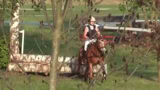 Die Haflinger springen in Gunzenhausen [upl. by Radec]