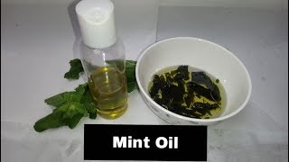 Peppermint Oil How to Make Peppermint Oil for Hair Acne and Skin remedy and UsesBenefits [upl. by Chobot]