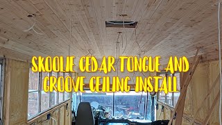 How To Install Cedar Tongue And Groove Ceiling In A Skoolie School Bus Conversion [upl. by Ruperta]